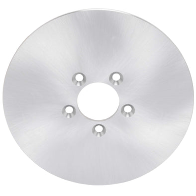 Solid Stainless Steel Brake Rotor - 10 inch - Rear