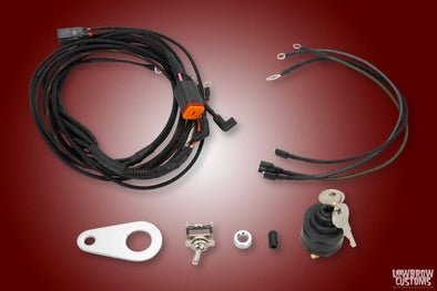Install The Treatment Wiring Kit for 1994-2003 Harley Sportsters