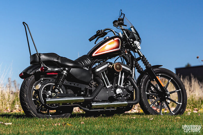 What is a Sissy Bar? - Lowbrow Customs 