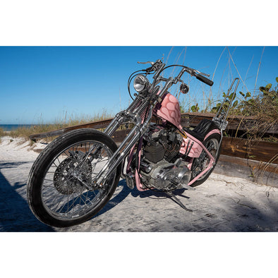 Full Rigid Frame 1986-2003 Harley-Davidson Sportsters - Frisco Tank Mounts - Horseshoe Oil Tank