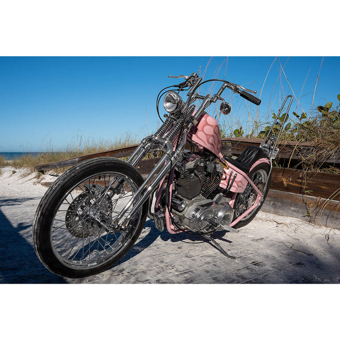 Full Rigid Frame 1986-2003 Harley-Davidson Sportsters - Frisco Tank Mounts - Horseshoe Oil Tank