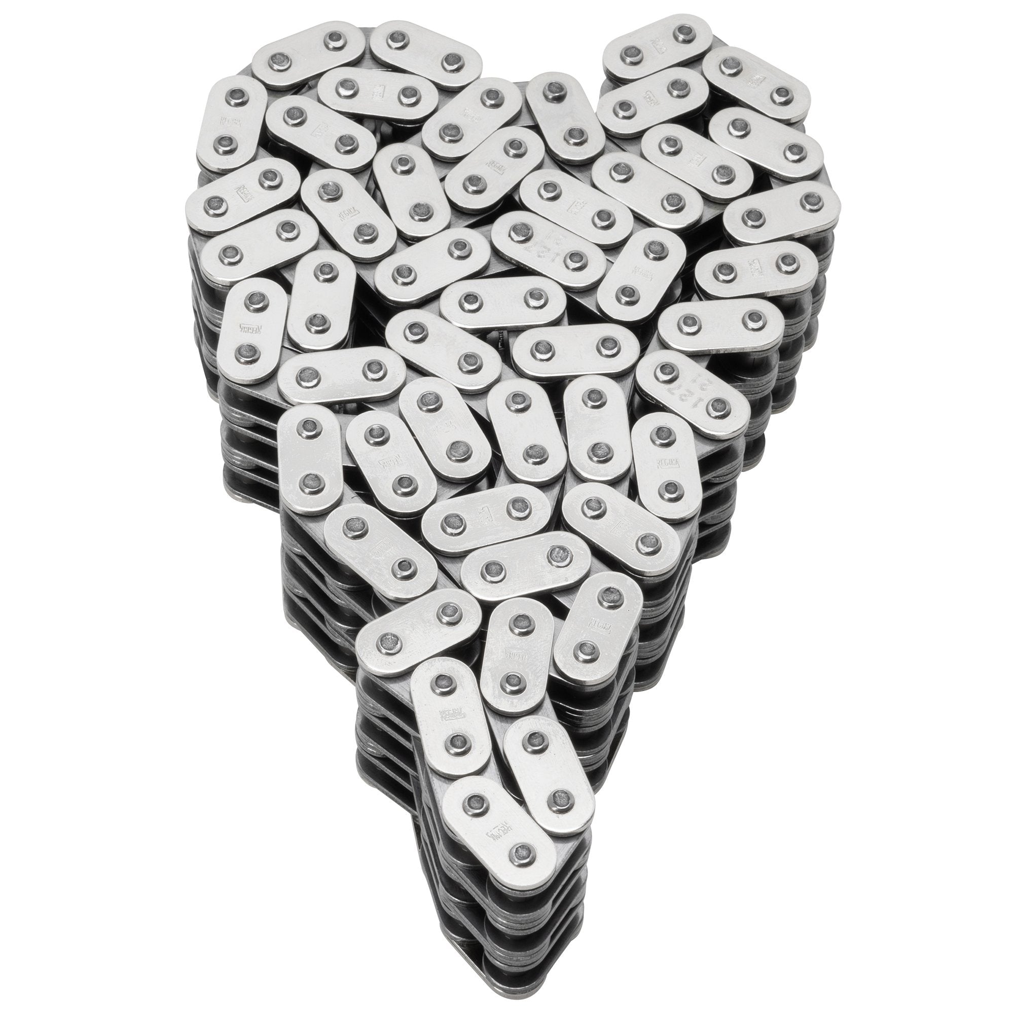 Drag Specialties Primary Chain 2004-2022 Harley-Davidson Sportster XL ...