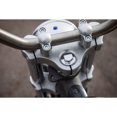 39mm Narrow Triple Trees Kit