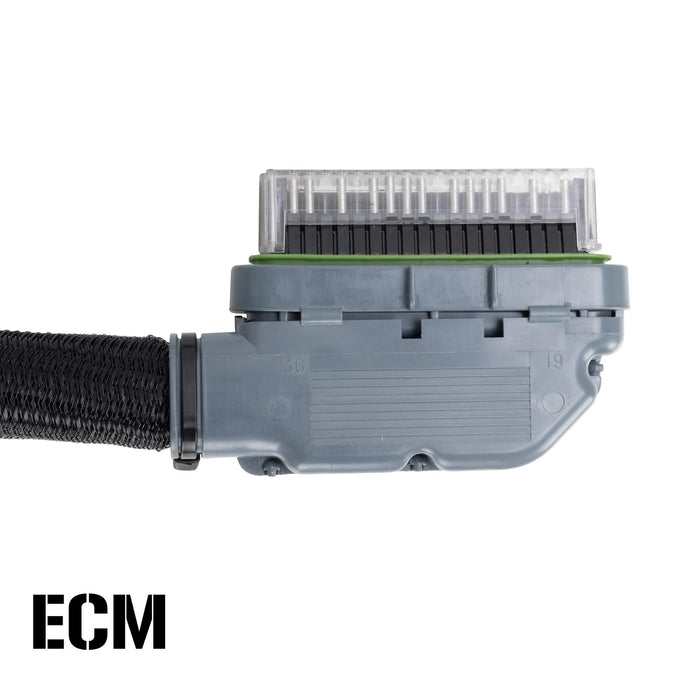 Complete Chopper Wiring Harness 2007-2013 EFI Harley-Davidson Sportster