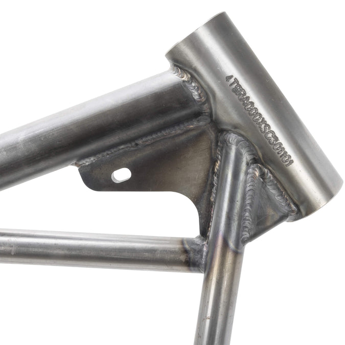 Full Rigid Frame 2004-2022 Harley-Davidson Sportsters - Sporty Tank Mounts