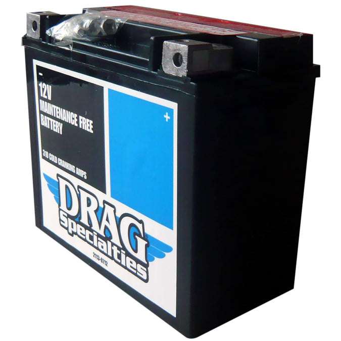 AGM Maintenance Free Battery 2000-Up Harley-Davidson Softails 99-17 FXD/FXDWG/FLD