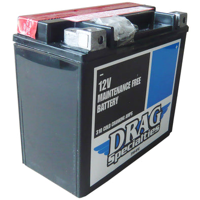 AGM Maintenance Free Battery 2000-Up Harley-Davidson Softails 99-17 FXD/FXDWG/FLD